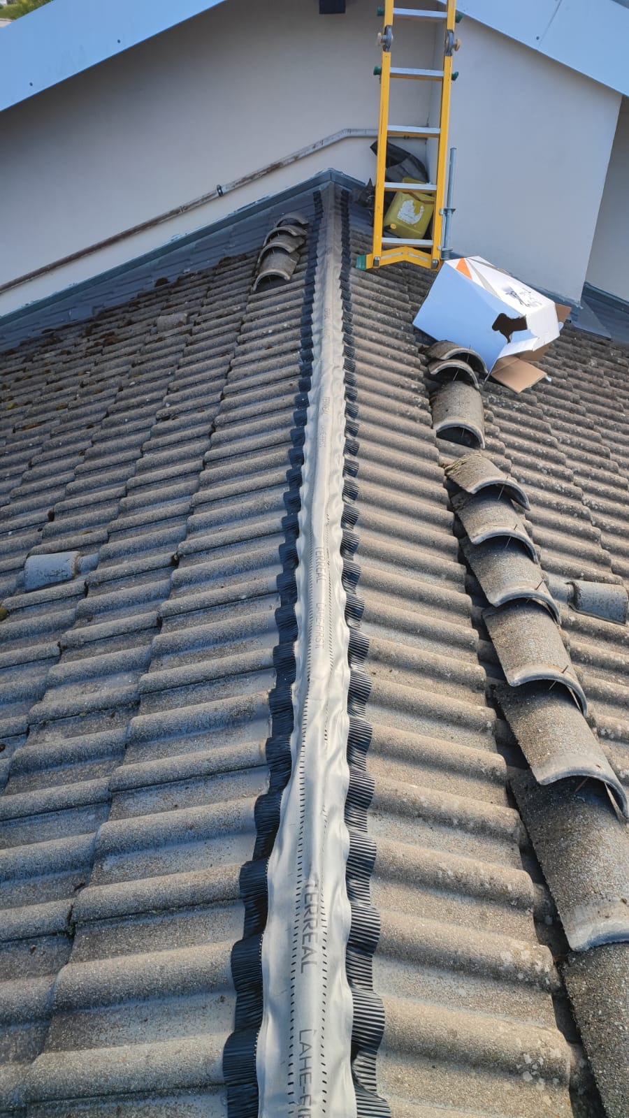 Bannière Bâtiment & Habitation d'Alp'In Services montrant un cordiste en intervention sur la façade d'un immeuble résidentiel pour l'entretien des balcons.